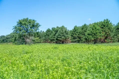 Inlet Road Amboy IL 61310