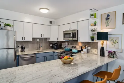 1000 North Lake Shore Drive Chicago IL 60611
