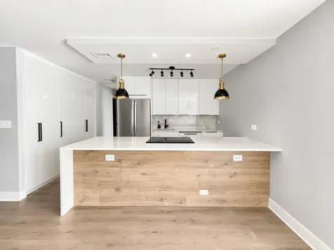 1355 North Sandburg Terrace Chicago IL 60610