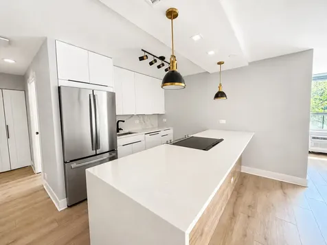 1355 North Sandburg Terrace Chicago IL 60610