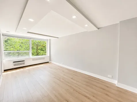 1355 North Sandburg Terrace Chicago IL 60610