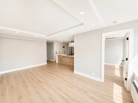 1355 North Sandburg Terrace Chicago IL 60610