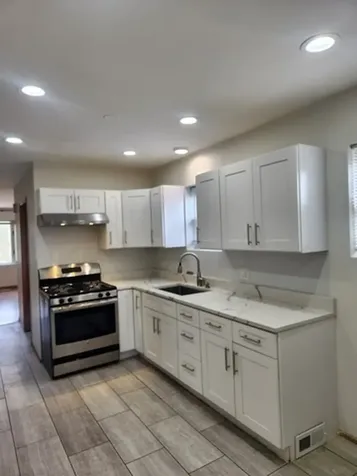 1719 South Ruble Street Chicago IL 60616