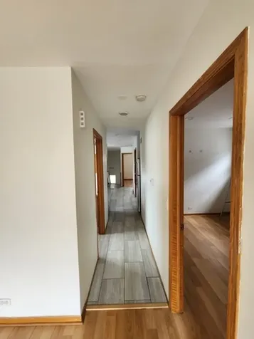 1719 South Ruble Street Chicago IL 60616