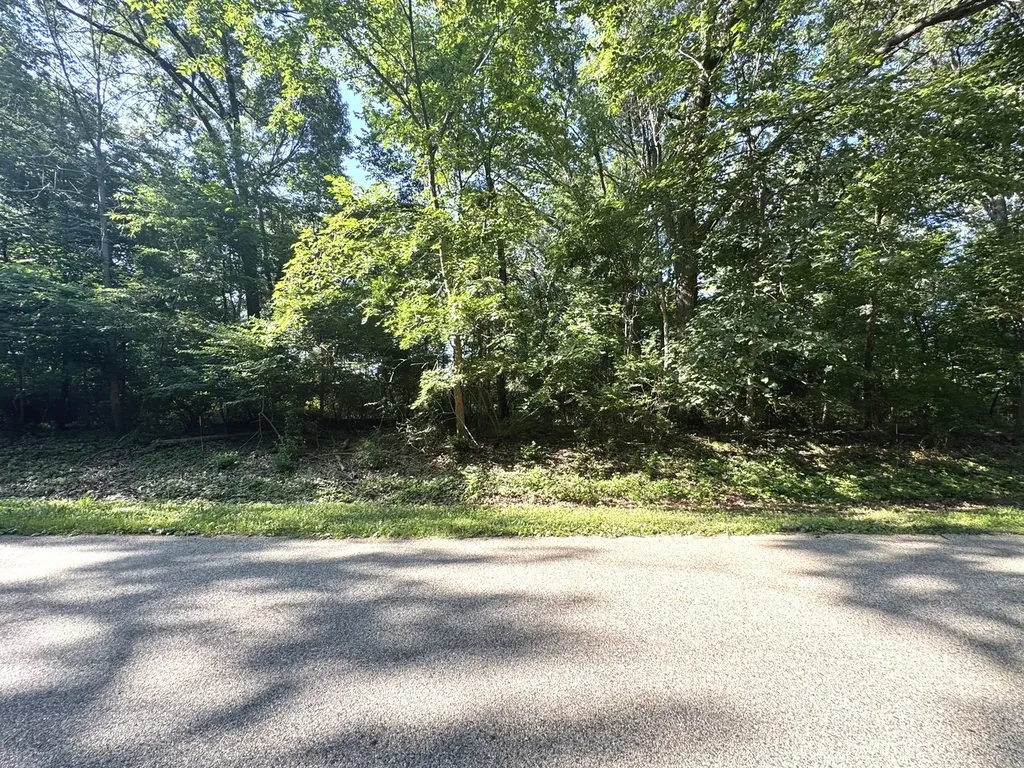 Lot 90 Lake Thunderbird Drive Tiskilwa IL 61368