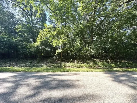 Lot 90 Lake Thunderbird Drive Tiskilwa IL 61368