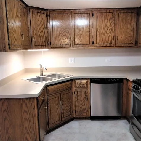 9303 Whitehall Lane Orland Park IL 60462