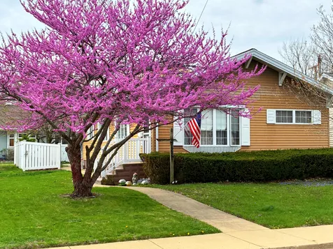 212 Sherman Street Streator IL 61364