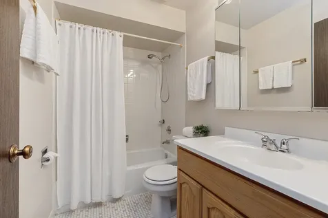 11141 Cottonwood Drive Palos Hills IL 60465