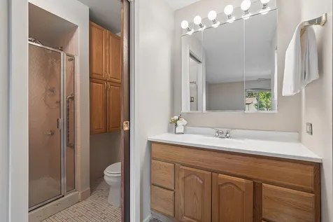 11141 Cottonwood Drive Palos Hills IL 60465