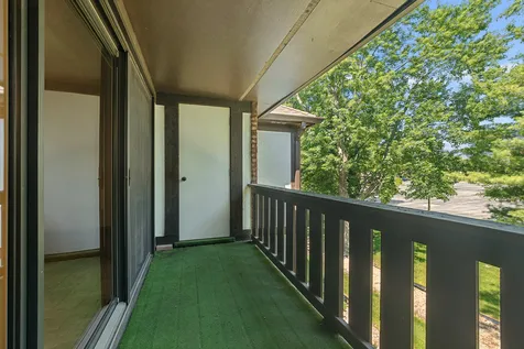 11141 Cottonwood Drive Palos Hills IL 60465