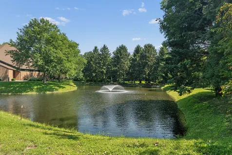 11141 Cottonwood Drive Palos Hills IL 60465