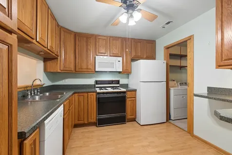 11141 Cottonwood Drive Palos Hills IL 60465