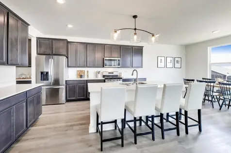 1316 Tiger Lily Drive Bartlett IL 60103
