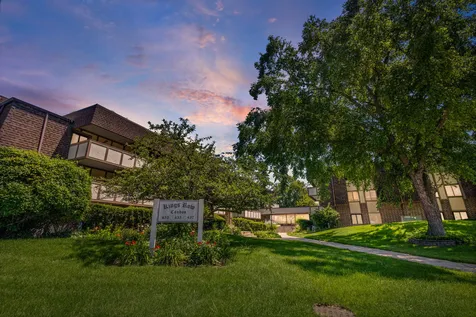 435 Cavalier Court Dundee IL 60118