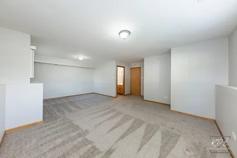 524 Meadow Lily Drive Joliet IL 60431