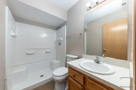 524 Meadow Lily Drive Joliet IL 60431