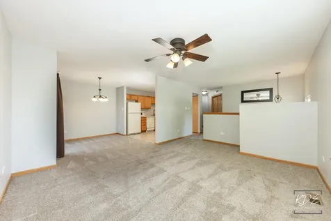 524 Meadow Lily Drive Joliet IL 60431