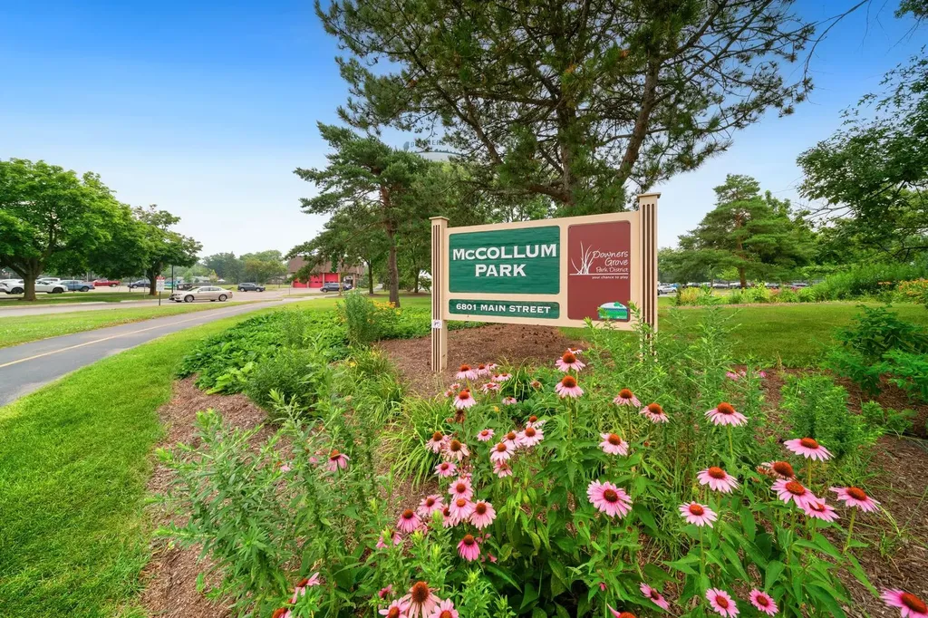 901 Claremont Drive Downers Grove IL 60516