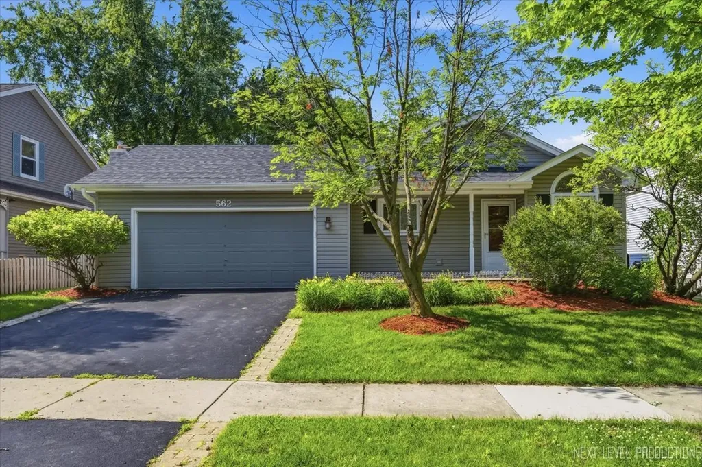 562 Roxbury Drive Naperville IL 60565