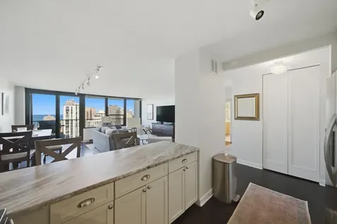 1560 North Sandburg Terrace Chicago IL 60610