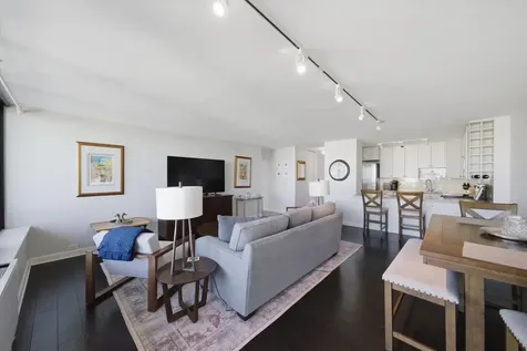 1560 North Sandburg Terrace Chicago IL 60610