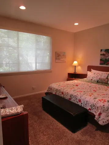 2490 Palazzo Court Buffalo Grove IL 60089