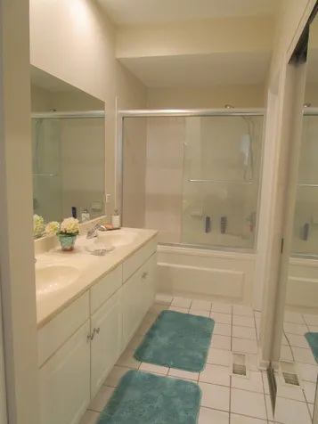 2490 Palazzo Court Buffalo Grove IL 60089