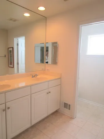 2490 Palazzo Court Buffalo Grove IL 60089