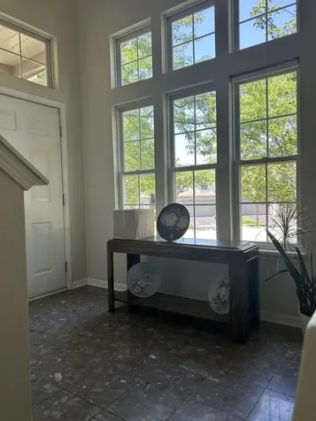 2490 Palazzo Court Buffalo Grove IL 60089