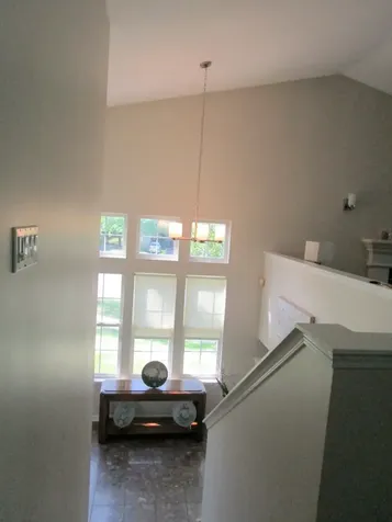 2490 Palazzo Court Buffalo Grove IL 60089