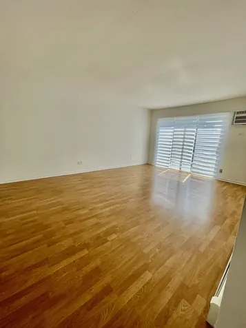 10037 South Walnut Terrace Palos Hills IL 60465