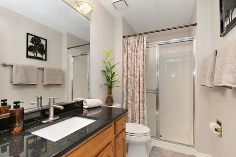 2838 Meadow Lane Schaumburg IL 60193