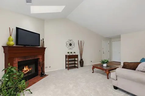 2838 Meadow Lane Schaumburg IL 60193