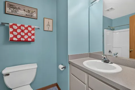 83 Strawflower Court Romeoville IL 60446