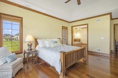 20698 Eagle Bluff Court Frankfort IL 60423