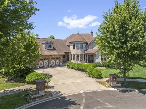 20698 Eagle Bluff Court Frankfort IL 60423