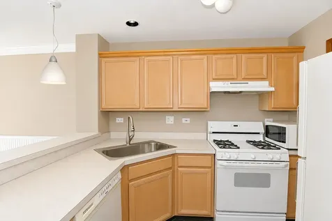 302 Windsor Court South Elgin IL 60177