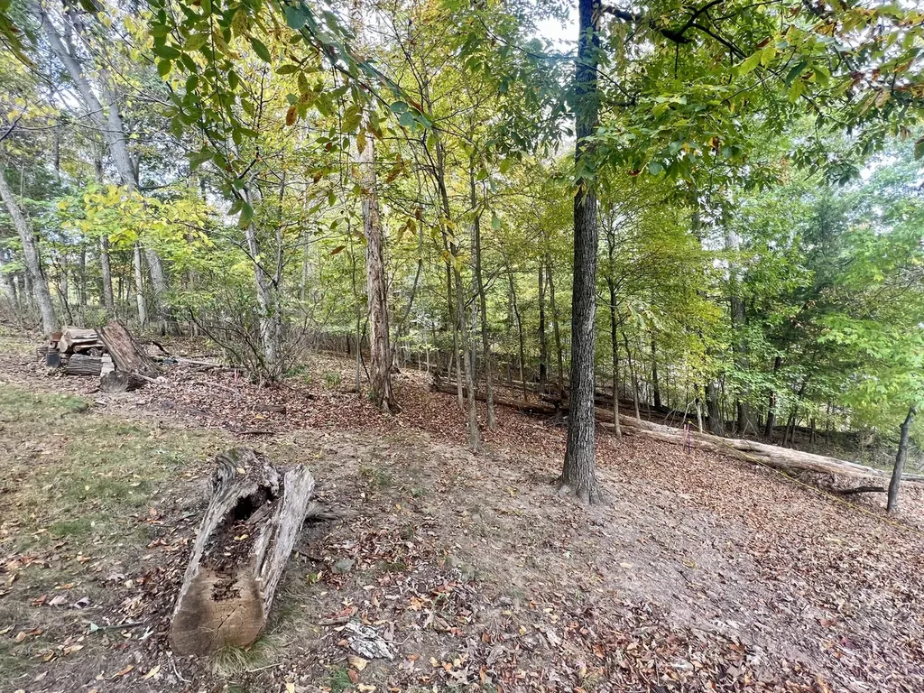 Cardinal Ln & Mark Drive Goreville IL 62939