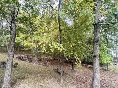 Cardinal Ln & Mark Drive Goreville IL 62939