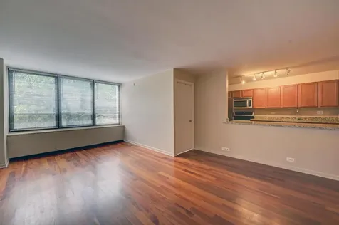 222 East Pearson Street Chicago IL 60611