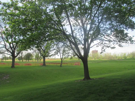 544 Elizabeth Drive Wood Dale IL 60191