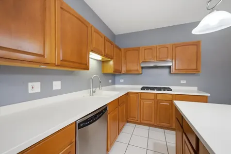 5451 Mcdonough Road Hoffman Estates IL 60192