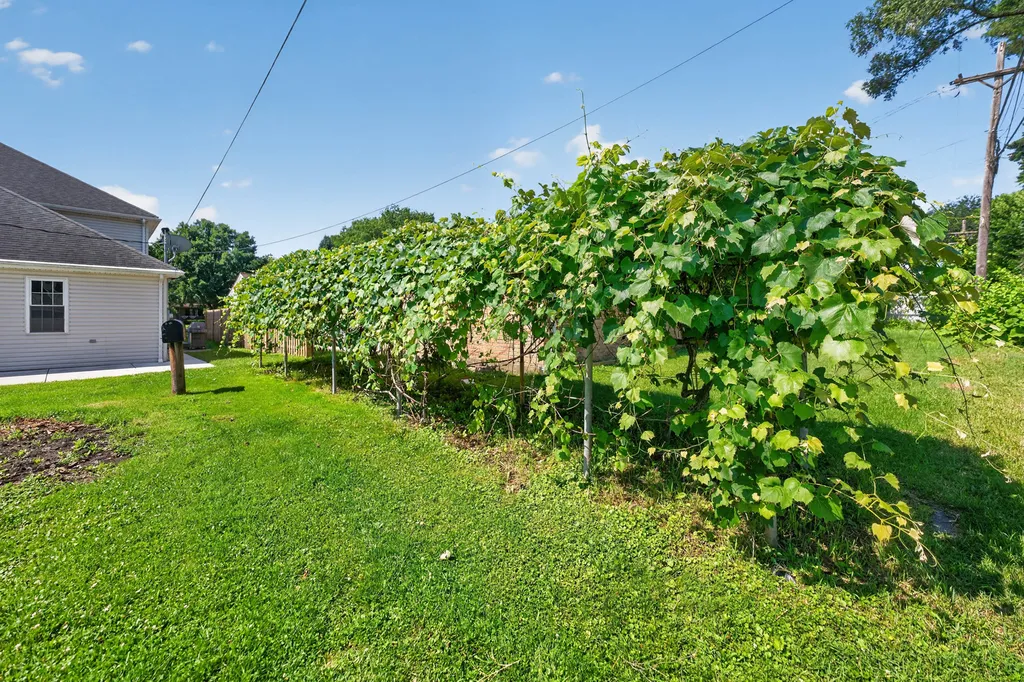 1142 South Cornell Avenue Villa Park IL 60181