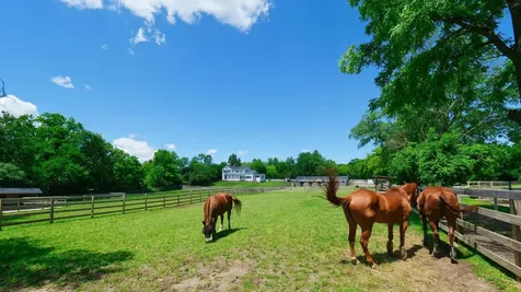 708 South Rose Farm Road Woodstock IL 60098