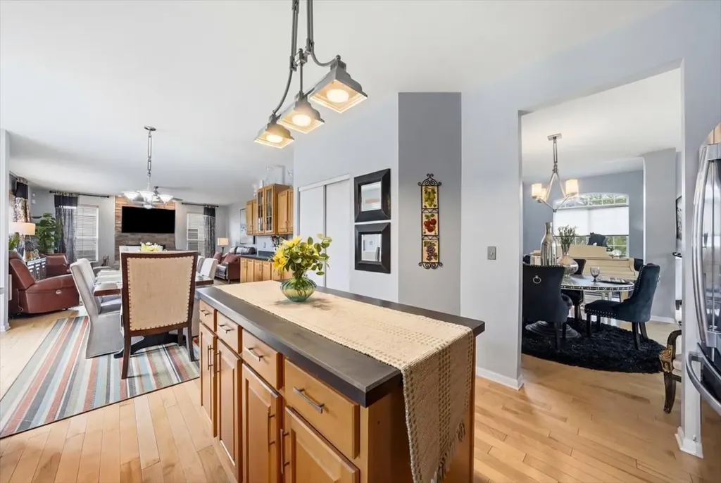 387 South Palmer Drive Bolingbrook IL 60490