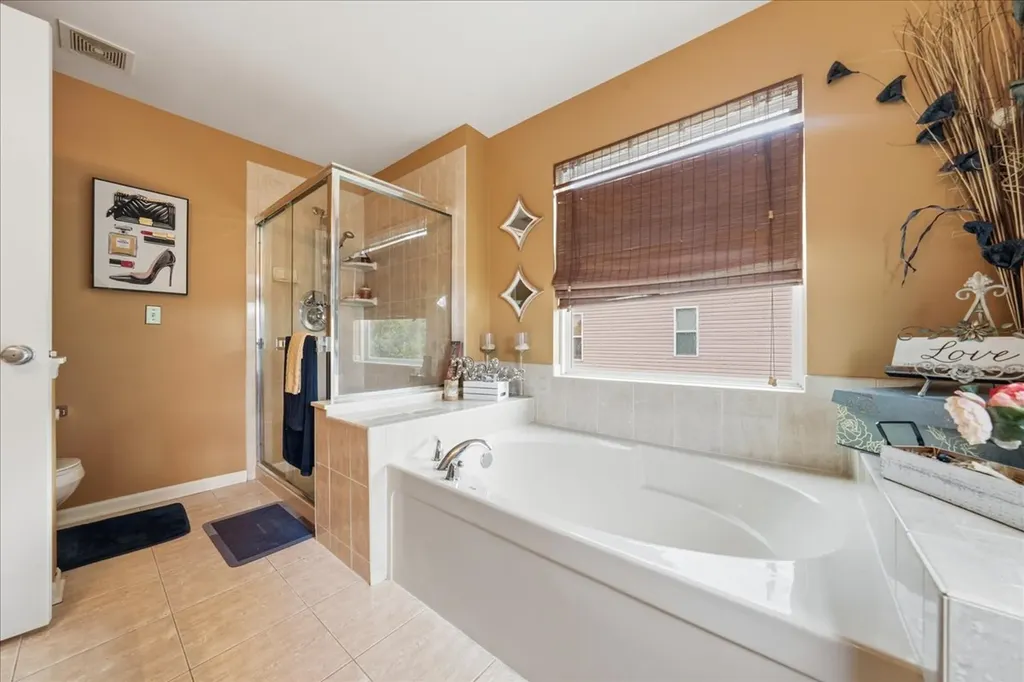 387 South Palmer Drive Bolingbrook IL 60490