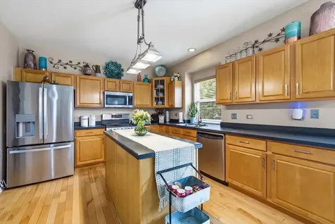 387 South Palmer Drive Bolingbrook IL 60490