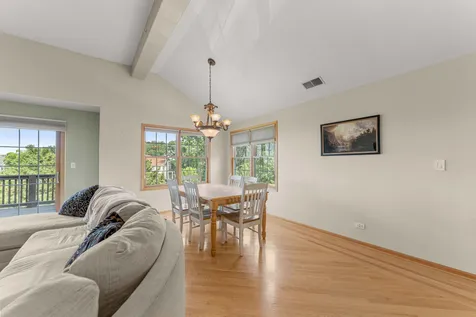 21332 Windy Hill Drive Frankfort IL 60423