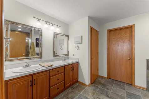 21332 Windy Hill Drive Frankfort IL 60423